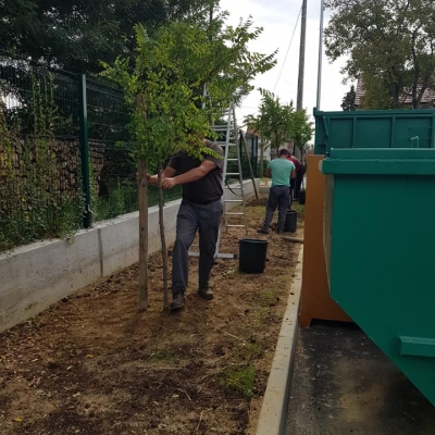 Sadnja stabala i sijanje travnjaka u novoizgrađenom reciklažnom dvorištu cijena, Hrvatska