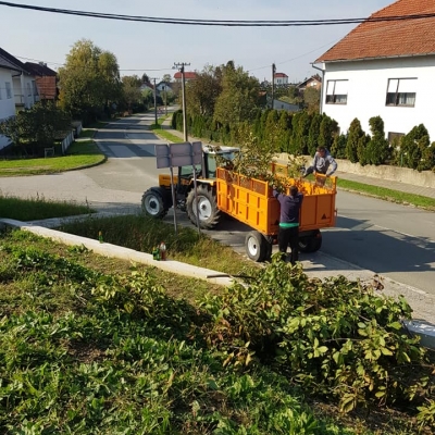 Uklanjanje opasnih stabala i odvoz biootpada cijena, Hrvatska