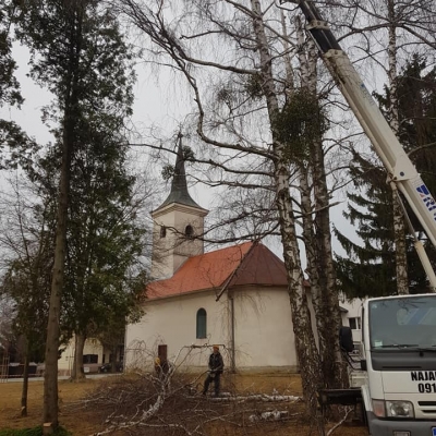 Orezivanje stabala Sveti Ivan Žabno cijena, Hrvatska