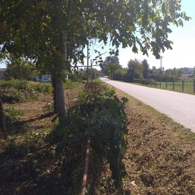 Malčiranje šumskim malčerom i uređenje zapuštene parcele cijena, Hrvatska
