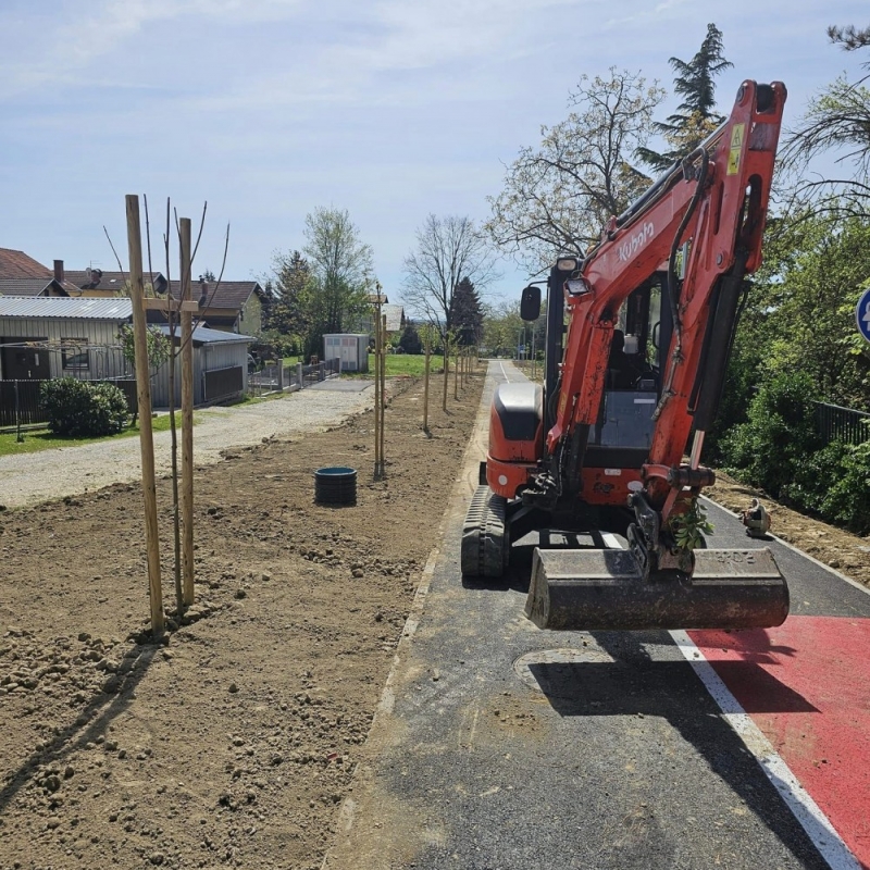 Zemljani radovi i humusiranje, sadnja stabala i grmova, sijanje trave duž nove šetnice Zemljani radovi i humusiranje, sadnja stabala i grmova, sijanje trave duž nove šetnice