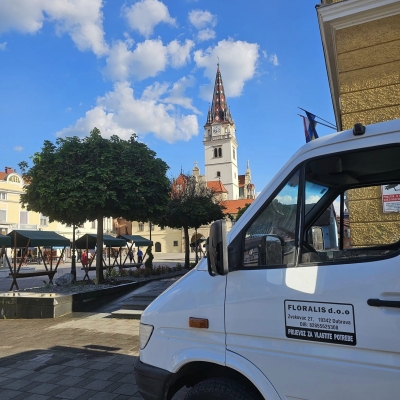 Uređenje trga, sadnja biljaka i postavljanje ukrasnih granulata i drvne sječke cijena, Hrvatska