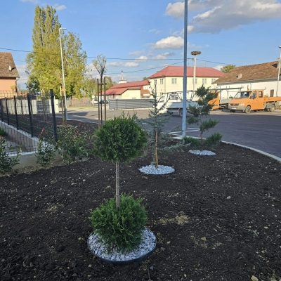 Sadnja stabala, žive ograde, zemljani radovi i uređenje travnjaka, izrada modernog kamenjara uz ulaz u tvrtku, prema vlastitom projektu cijena, Hrvatska