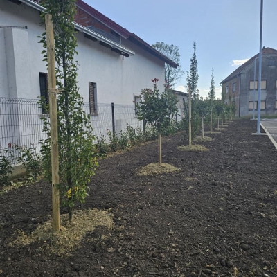 Sadnja stabala, žive ograde, zemljani radovi i uređenje travnjaka, izrada modernog kamenjara uz ulaz u tvrtku, prema vlastitom projektu cijena, Hrvatska
