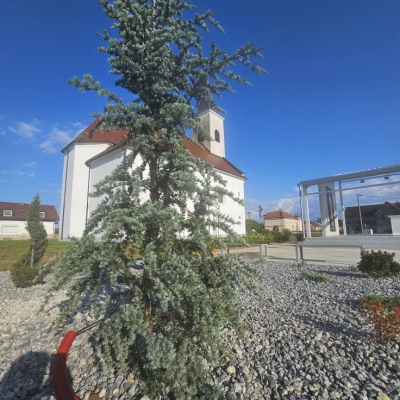 Projektiranje i izvedba okoliša vanjskog svetišta - zemljani radovi, sadnja biljaka i stabala, izrada ukrasnih gredica i modernog kamenjara cijena, Hrvatska