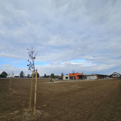 Uređenje okoliša DV Božjakovina cijena, Hrvatska