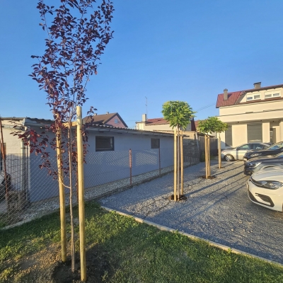 Uređenje okoliša i povišena gredica, sadnja biljaka i stabala, nabava žardinjera i sadnja trajnica cijena, Hrvatska