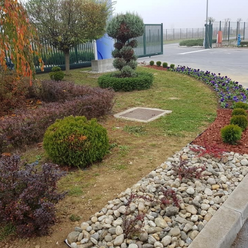 Projekt uređenja zelene površine